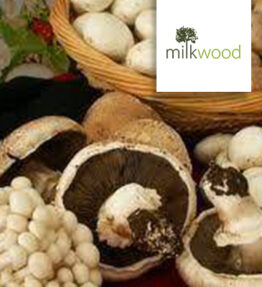 Mushrooms (Brown) (400g)