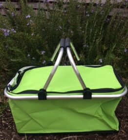 (small) Light Green Cooler Box