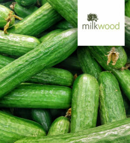 Cucumber (x1)
