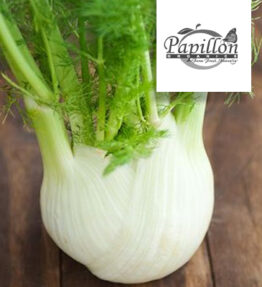 Baby Fennel Bulb (250g)