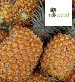 Pineapple (x1)