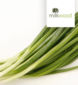 Spring Onion (x1bunch)