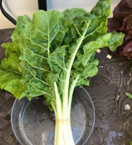Organic large bunch of spinach (300g)(NiSe)