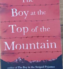 The Boy at the top of the Mountain