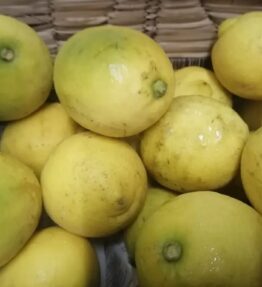 Lemon organic (1)