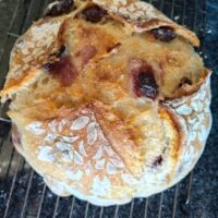 Bread - Sourdough Calamata Olive by Sadie Lee
