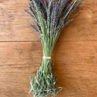 Amazing aroma large lavender bunch